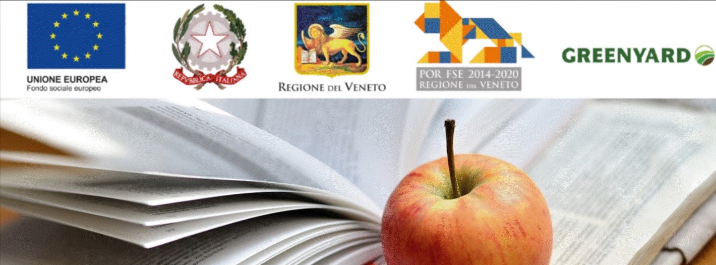 Immagine 2020-10-19 111535 (3)