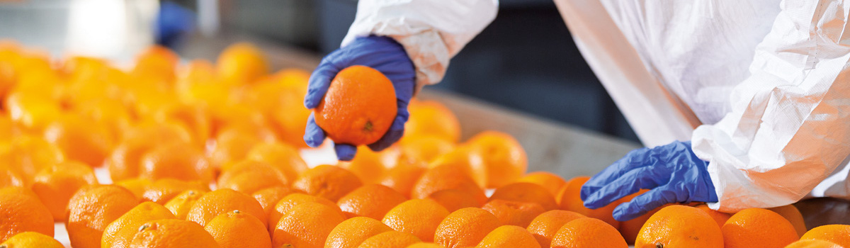banner citrus