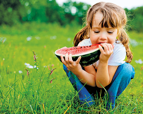 gygroup_garden_watermelon